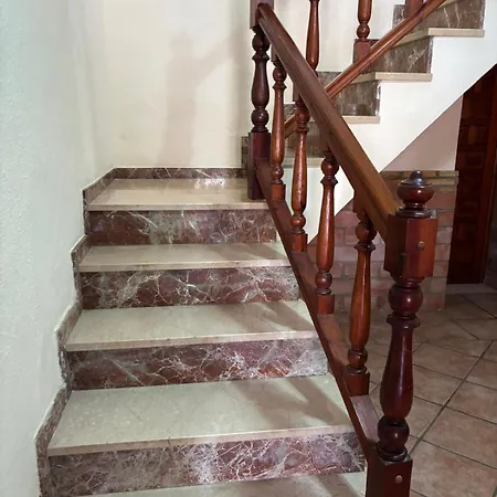 062 Almendro 데니아